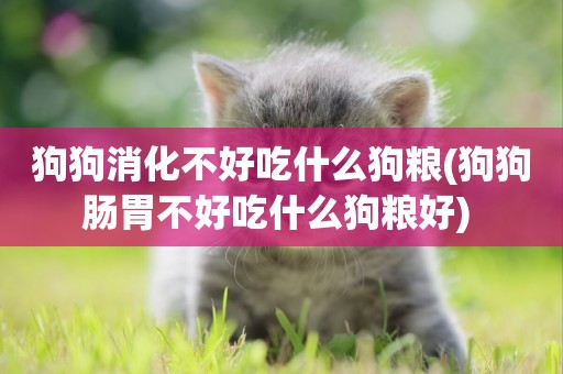 狗狗消化不好吃什么狗糧(狗狗腸胃不好吃什么狗糧好) 