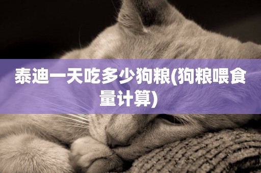 泰迪一天吃多少狗糧(狗糧喂食量計算) 