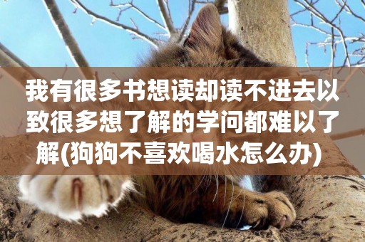 我有很多書想讀卻讀不進去以致很多想了解的學問都難以了解(狗狗不喜歡喝水怎么辦) 