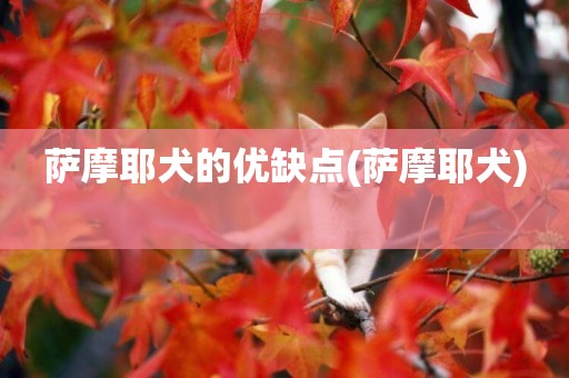 薩摩耶犬的優缺點(薩摩耶犬) 