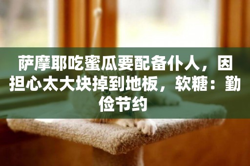 薩摩耶吃蜜瓜要配備仆人，因擔心太大塊掉到地板，軟糖：勤儉節約 