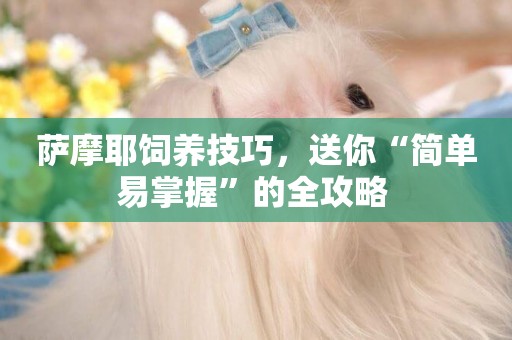 薩摩耶飼養技巧，送你“簡單易掌握”的全攻略 