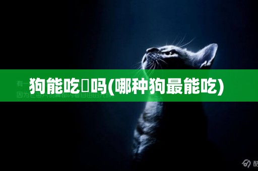 狗能吃祘嗎(哪種狗最能吃) 