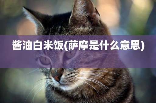 醬油白米飯(薩摩是什么意思) 