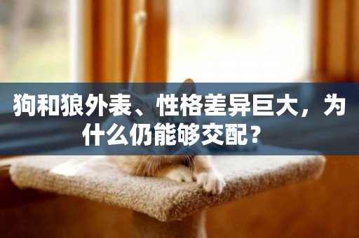 狗和狼外表、性格差異巨大，為什么仍能夠交配？ 