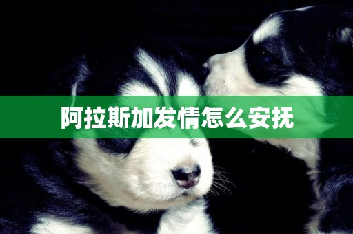 阿拉斯加發情怎么安撫