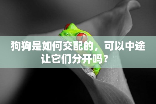 狗狗是如何交配的，可以中途讓它們分開嗎？ 