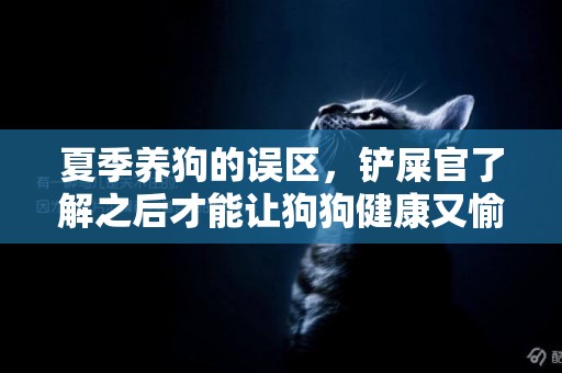 夏季養狗的誤區，鏟屎官了解之后才能讓狗狗健康又愉快 