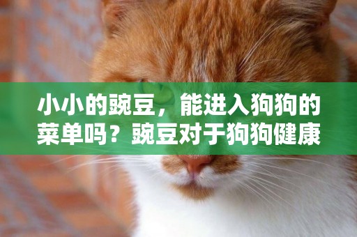 小小的豌豆，能進入狗狗的菜單嗎？豌豆對于狗狗健康的影響有哪些 