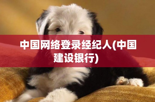 中國網絡登錄經紀人(中國建設銀行) 