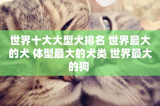 世界十大大型犬排名 世界最大的犬 體型最大的犬類 世界最大的狗 