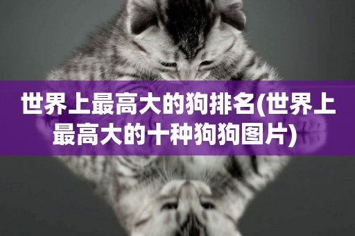 世界上最高大的狗排名(世界上最高大的十種狗狗圖片) 