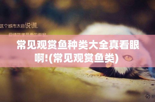 常見觀賞魚種類大全真看眼啊!(常見觀賞魚類) 