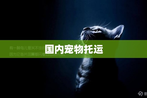 國內寵物托運