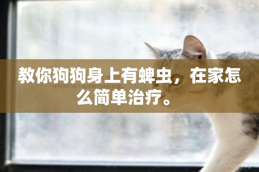 教你狗狗身上有蜱蟲，在家怎么簡單治療。 