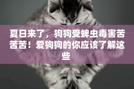 夏日來了，狗狗受蜱蟲毒害苦苦苦！愛狗狗的你應該了解這些 