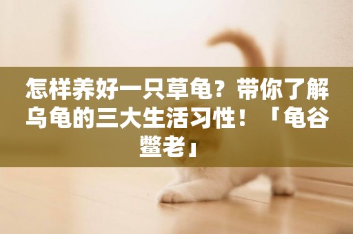 怎樣養好一只草龜？帶你了解烏龜的三大生活習性！「龜谷鱉老」 