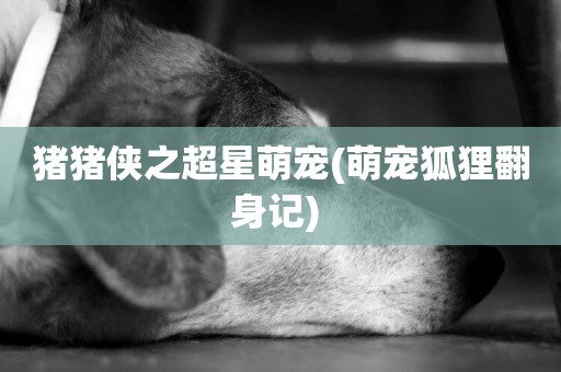 豬豬俠之超星萌寵(萌寵狐貍翻身記) 