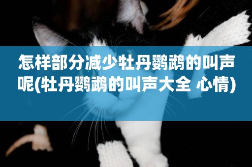 怎樣部分減少牡丹鸚鵡的叫聲呢(牡丹鸚鵡的叫聲大全 心情) 