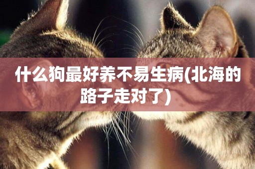 什么狗最好養不易生病(北海的路子走對了) 