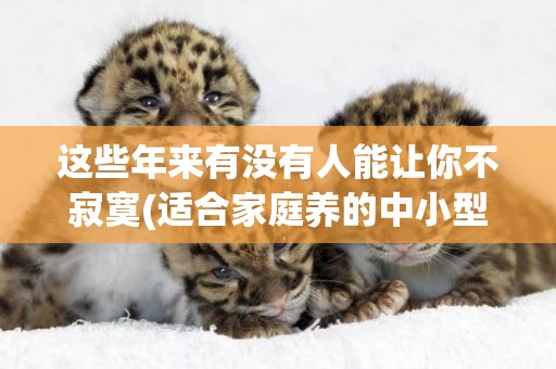 這些年來有沒有人能讓你不寂寞(適合家庭養的中小型犬) 