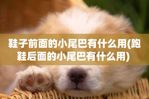 鞋子前面的小尾巴有什么用(跑鞋后面的小尾巴有什么用) 