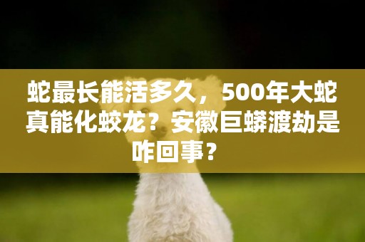 蛇最長能活多久，500年大蛇真能化蛟龍？安徽巨蟒渡劫是咋回事？ 