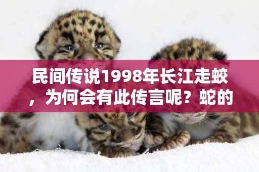 民間傳說1998年長江走蛟，為何會有此傳言呢？蛇的壽命真有百年嗎 