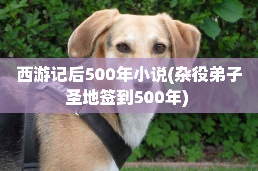 西游記后500年小說(雜役弟子圣地簽到500年) 