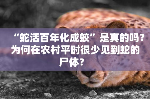 “蛇活百年化成蛟”是真的嗎？為何在農村平時很少見到蛇的尸體？ 
