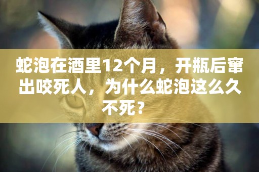 蛇泡在酒里12個月，開瓶后竄出咬死人，為什么蛇泡這么久不死？ 