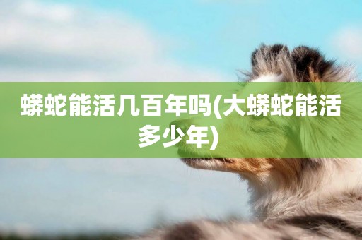 蟒蛇能活幾百年嗎(大蟒蛇能活多少年) 