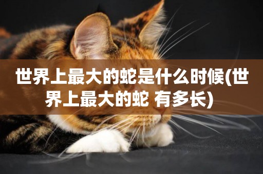 世界上最大的蛇是什么時候(世界上最大的蛇 有多長) 
