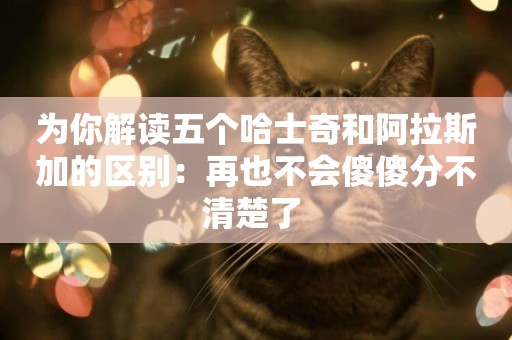 為你解讀五個哈士奇和阿拉斯加的區別：再也不會傻傻分不清楚了 