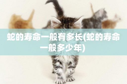 蛇的壽命一般有多長(蛇的壽命一般多少年) 