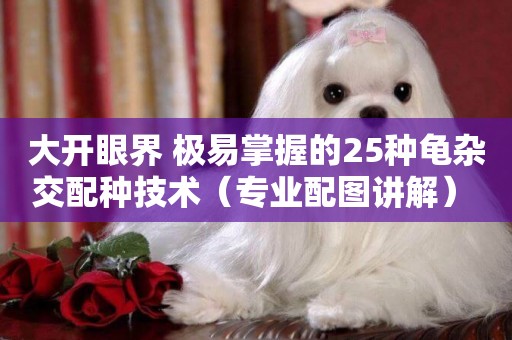 大開眼界 極易掌握的25種龜雜交配種技術（專業配圖講解） 