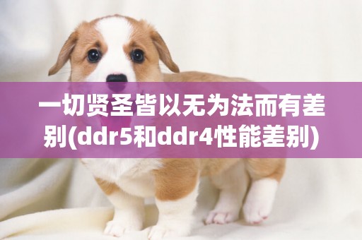 一切賢圣皆以無為法而有差別(ddr5和ddr4性能差別) 