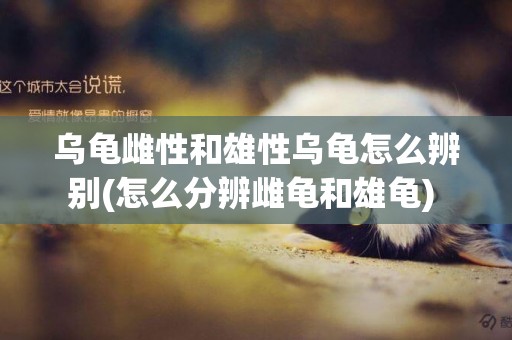 烏龜雌性和雄性烏龜怎么辨別(怎么分辨雌龜和雄龜) 