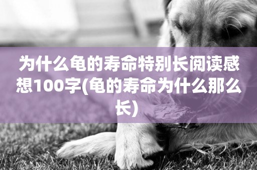 為什么龜的壽命特別長閱讀感想100字(龜的壽命為什么那么長) 