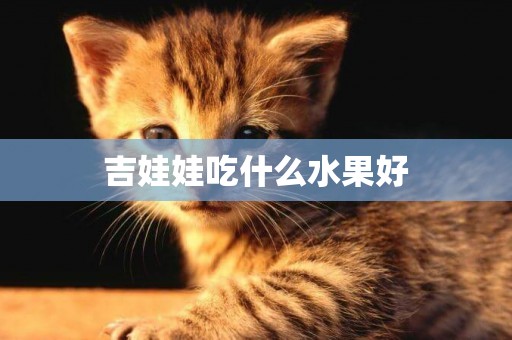 吉娃娃吃什么水果好
