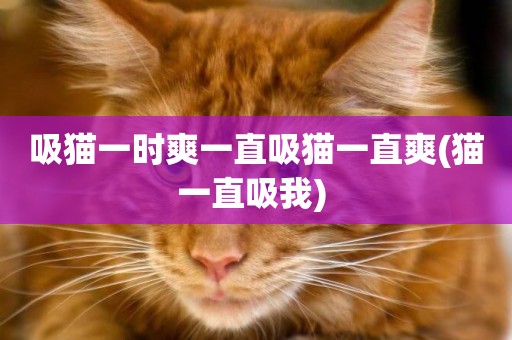 吸貓一時爽一直吸貓一直爽(貓一直吸我) 