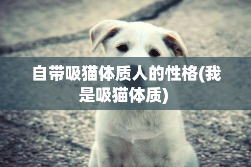 自帶吸貓體質人的性格(我是吸貓體質) 