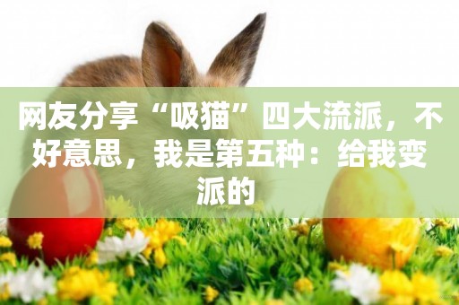 網友分享“吸貓”四大流派，不好意思，我是第五種：給我變派的 