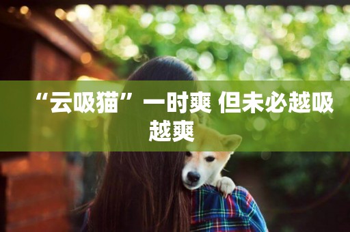 “云吸貓”一時爽 但未必越吸越爽 