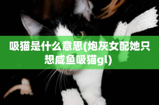 吸貓是什么意思(炮灰女配她只想咸魚吸貓gl) 