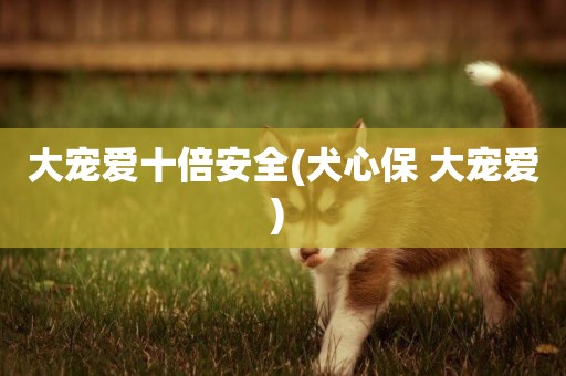 大寵愛十倍安全(犬心保 大寵愛) 
