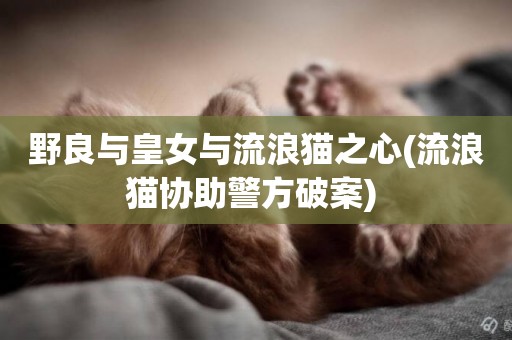 野良與皇女與流浪貓之心(流浪貓協助警方破案) 