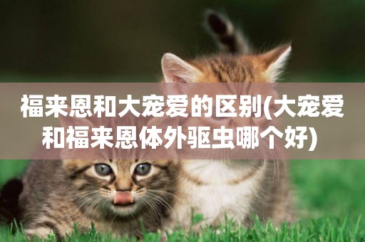 福來恩和大寵愛的區別(大寵愛和福來恩體外驅蟲哪個好) 