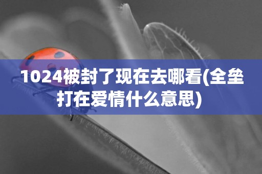 1024被封了現在去哪看(全壘打在愛情什么意思) 