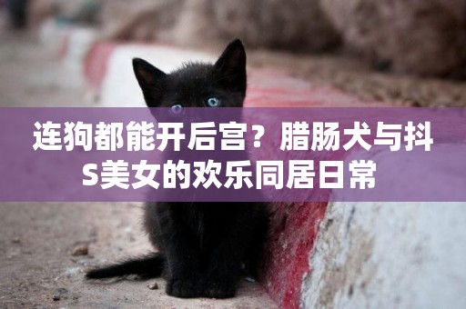 連狗都能開后宮？臘腸犬與抖S美女的歡樂同居日常 